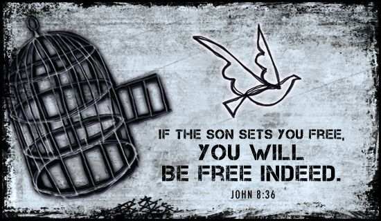 you will be free indeed