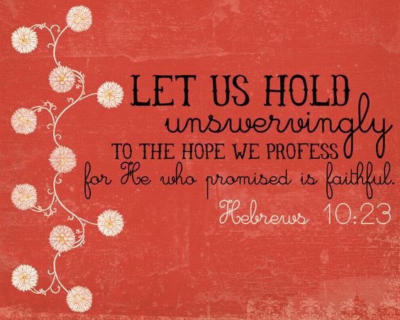 432deeb52eba0976c6437f5a163e1331